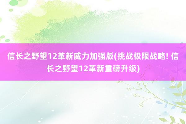 信长之野望12革新威力加强版(挑战极限战略! 信长之野望12革新重磅升级)